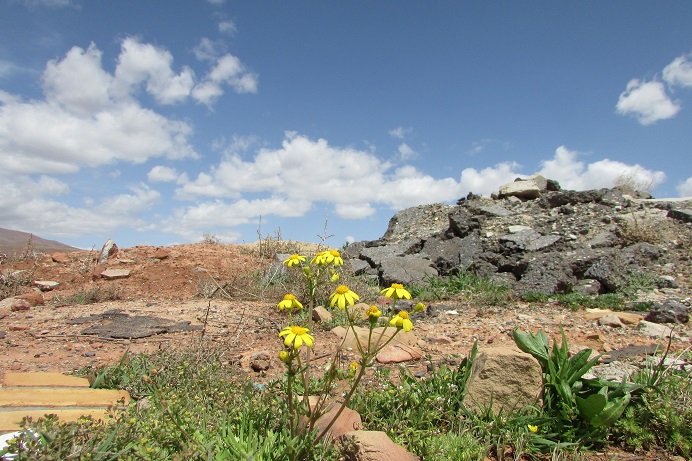 	کار دشوار مراقبت از شهر